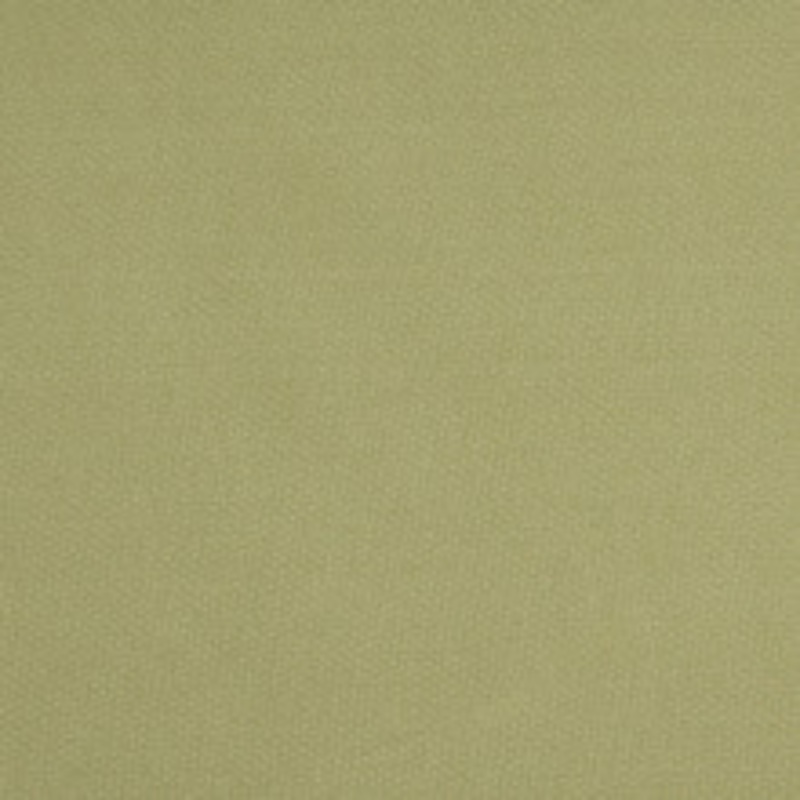 Charlotte Fabric 10111-04