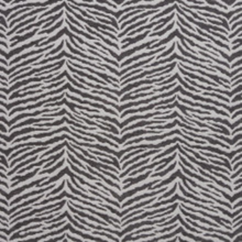 Charlotte Fabric 20870-05