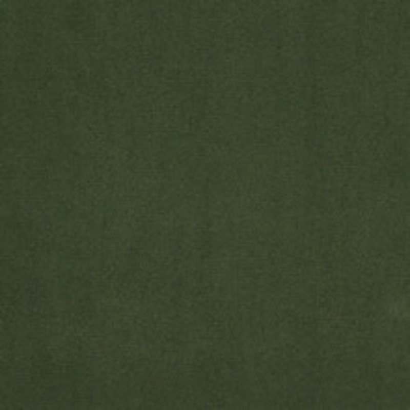 Charlotte Fabric 20940-25