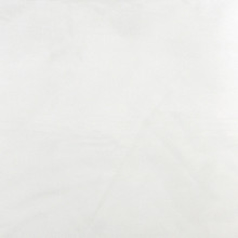Charlotte Fabric 3064 White
