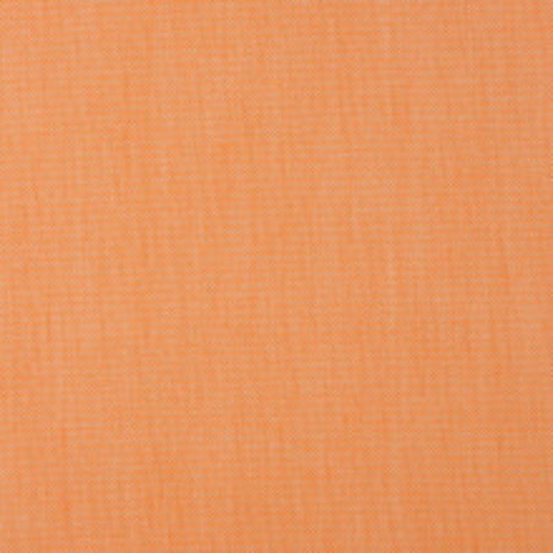 Charlotte Fabric 30010-06
