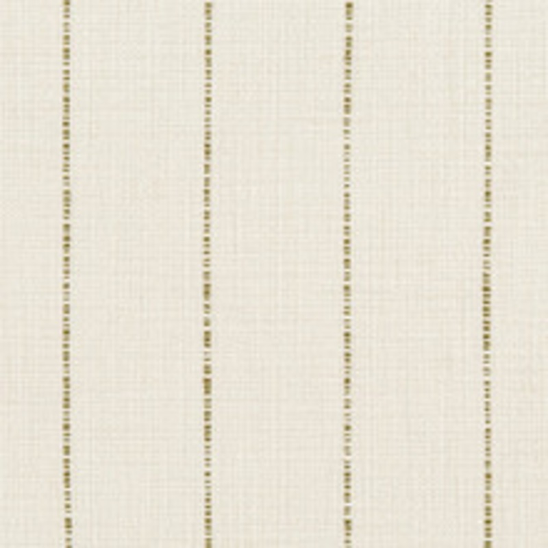 Charlotte Fabric 31010-01