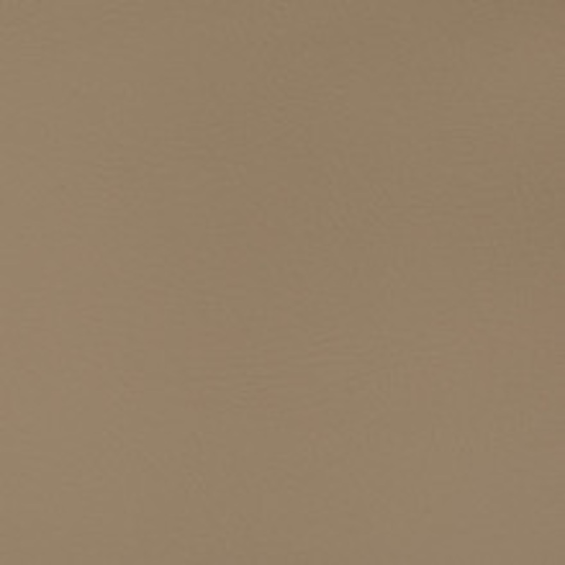 Charlotte Fabric V369 Hazelnut