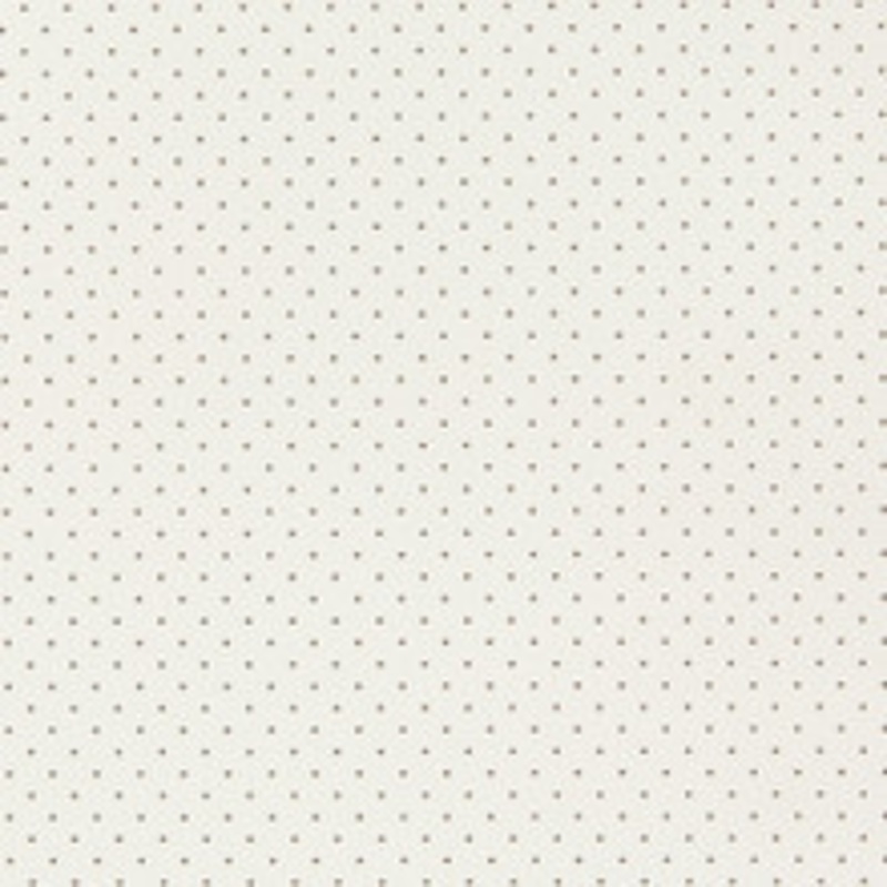Charlotte Fabric V401 White Perforated