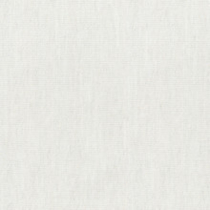 ED Ellen DeGeneres Fabric Cleary Coconut 250447