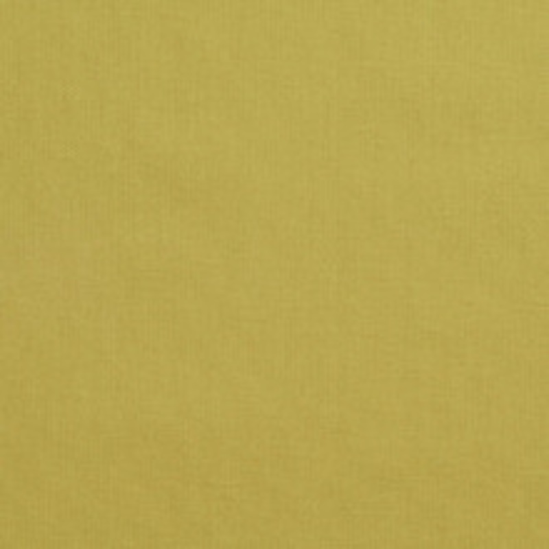 Charlotte Fabric 3890 Pear