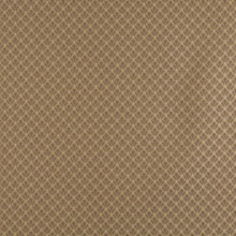 Charlotte Fabric 4359 Harvest Shell