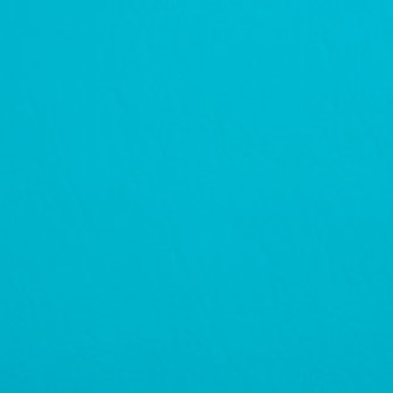 Charlotte Fabric 8085 Aqua Marine