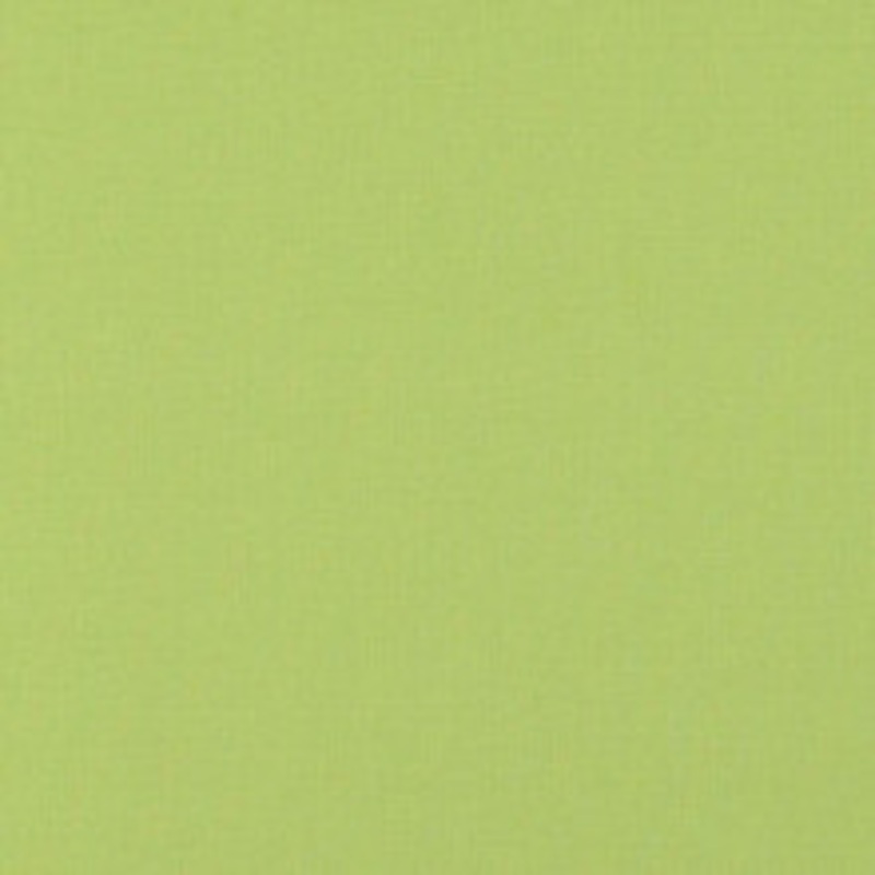 Schumacher Fabric Langham Lime 69667