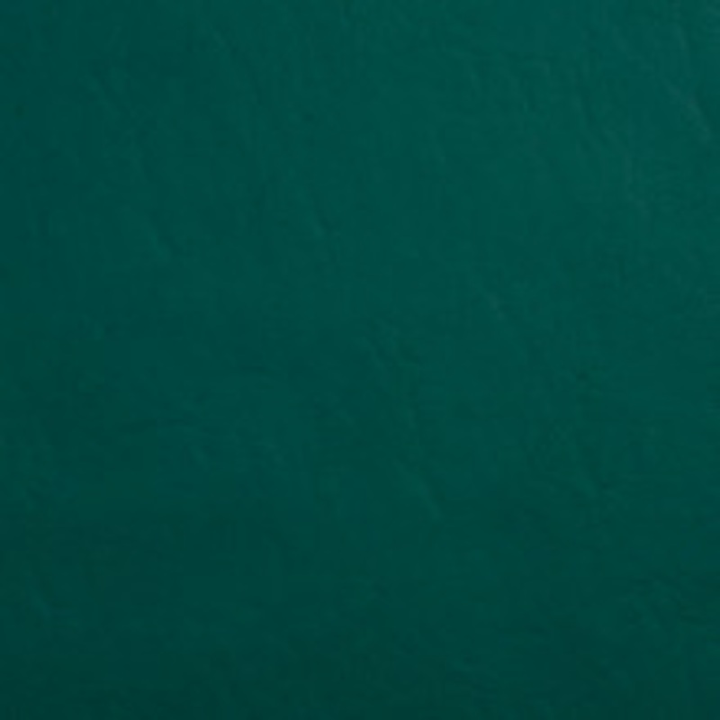 Charlotte Fabric 8088 Forest