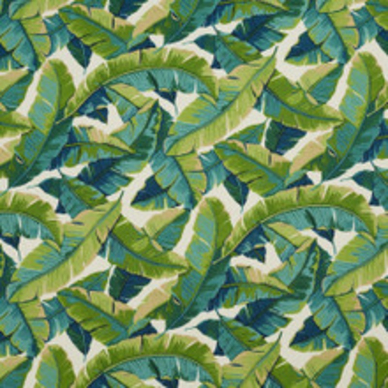 Charlotte Fabric 4635 Belize