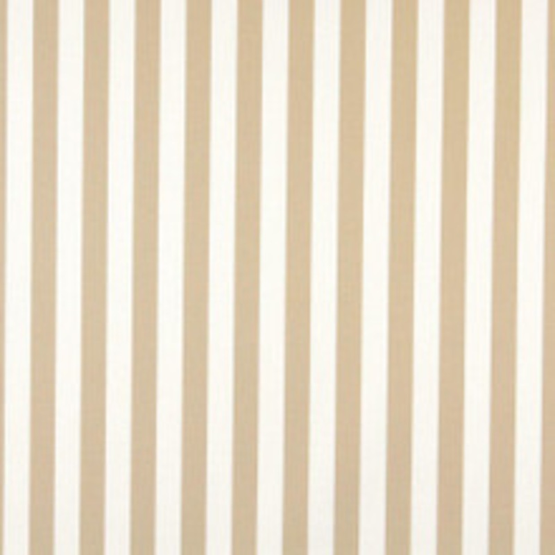 Charlotte Fabric 2484 Sand Canopy