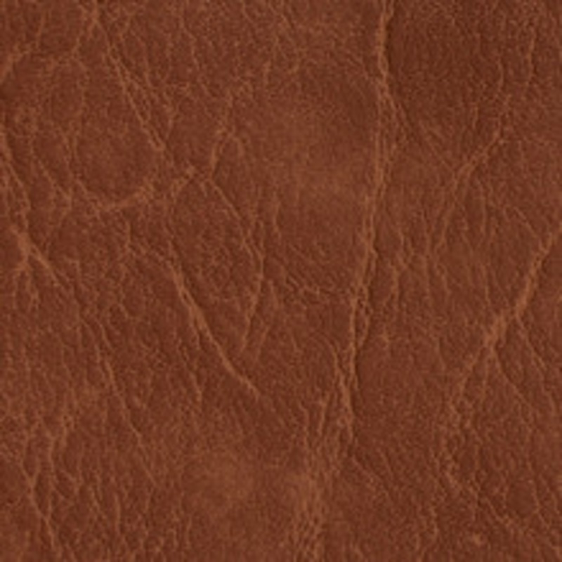 Charlotte Fabric 7613 Pecan