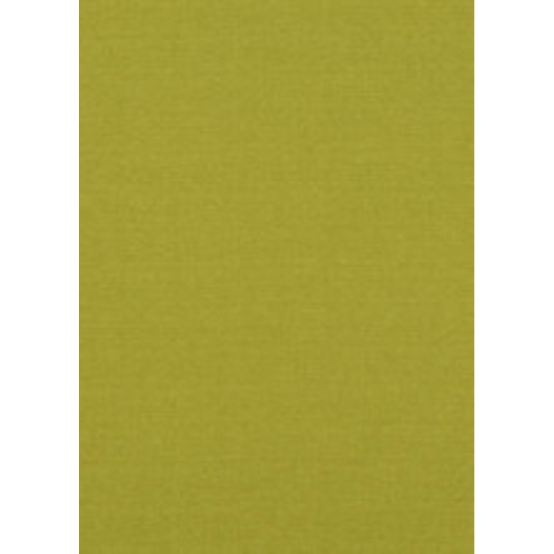 Baker Lifestyle Fabric Lansdowne Lime