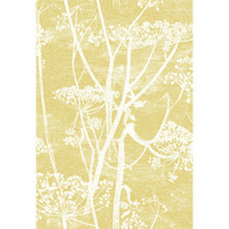 Cole & Son Fabric Cow Parsley Wht & Chartre