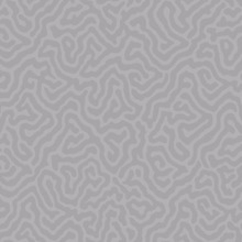 Cole & Son Wallcovering Coral Mink