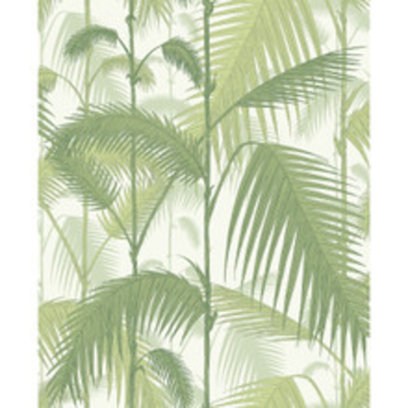 Cole & Son Wallcovering Palm Jungle Olive Gre/White