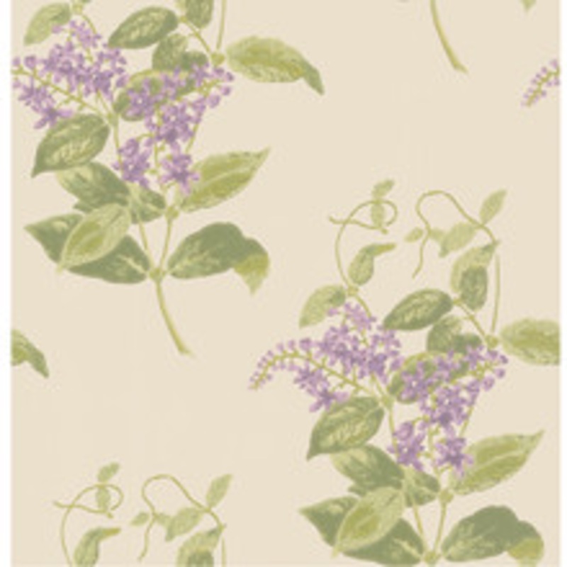 Cole & Son Wallcovering Madras Violet Olive & Lavender