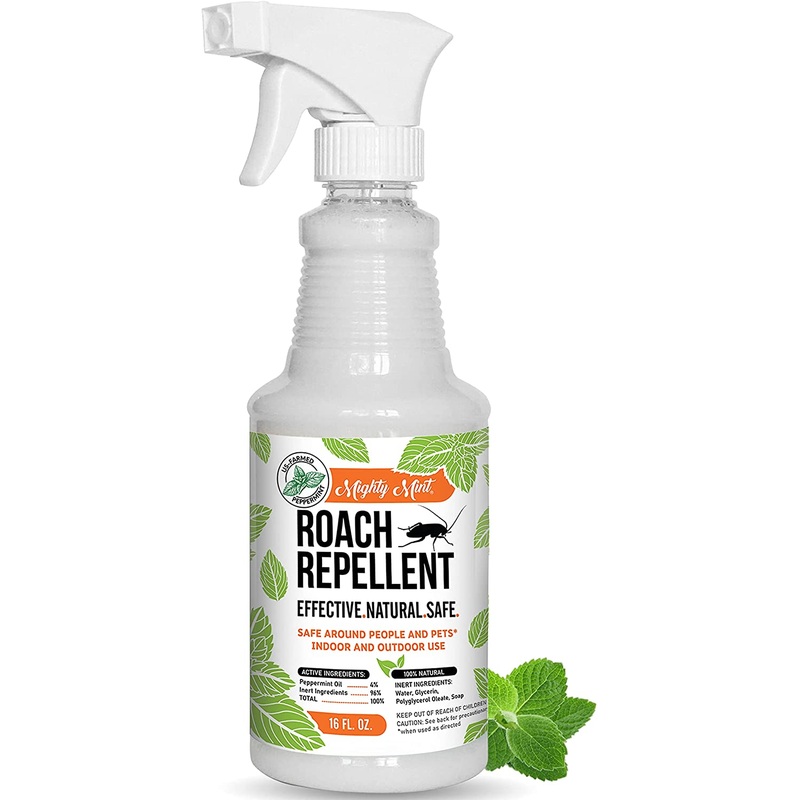 Mighty Mint 16oz Cockroach Repellent Natural Peppermint Oil Spray | Bigbigmart.com