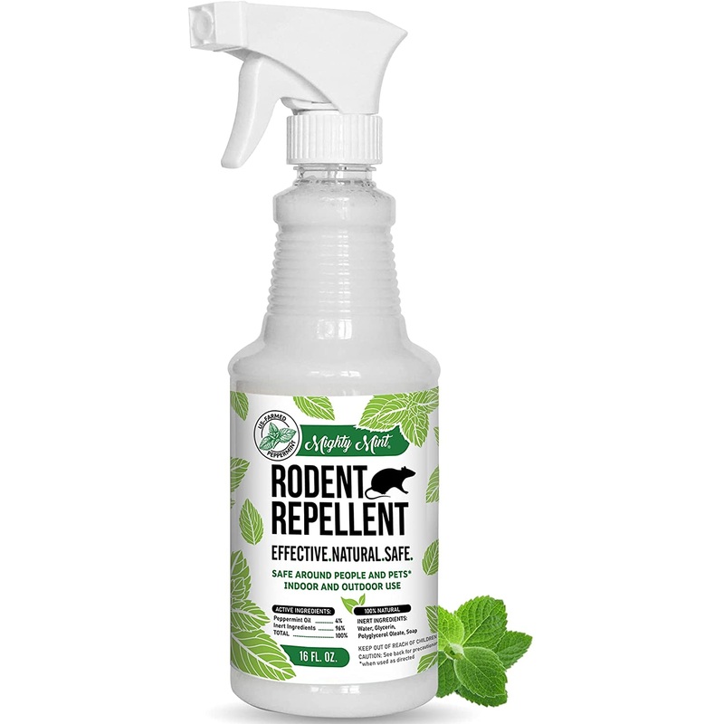 Mighty Mint 16oz Peppermint Oil Rodent Repellent Spray | Bigbigmart.com