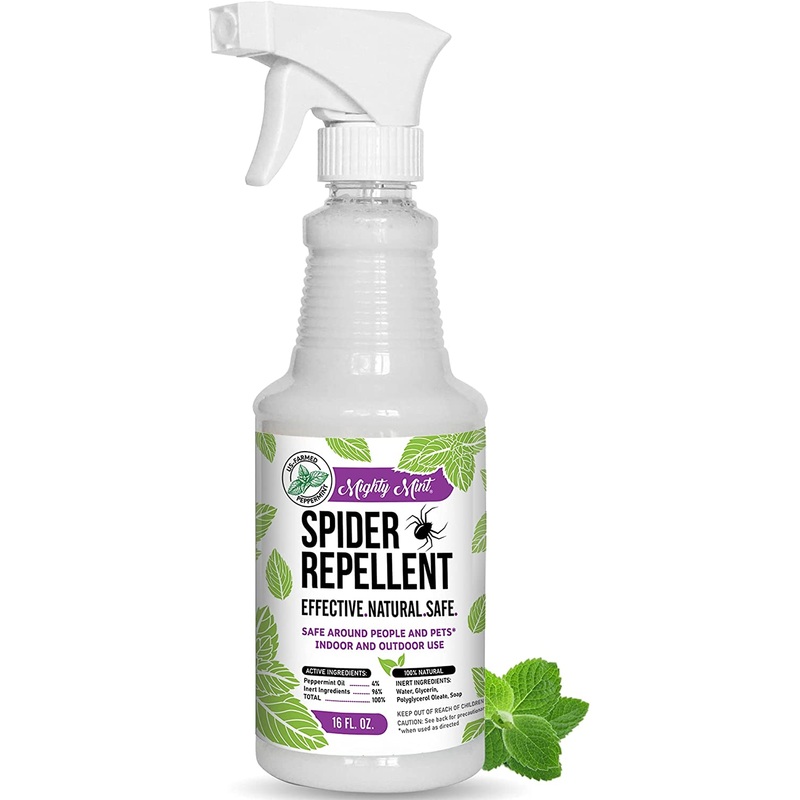 Mighty Mint – 16oz Spider Repellent Peppermint Oil – Natural Spray | Bigbigmart.com