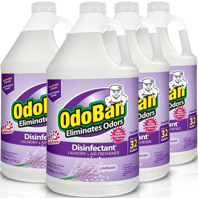OdoBan 1 Gal. Lavender Disinfectant and Odor Eliminator, Fabric Freshener, Multi-Purpose Cleaner Concentrate (4-Pack) | Bigbigmart.com