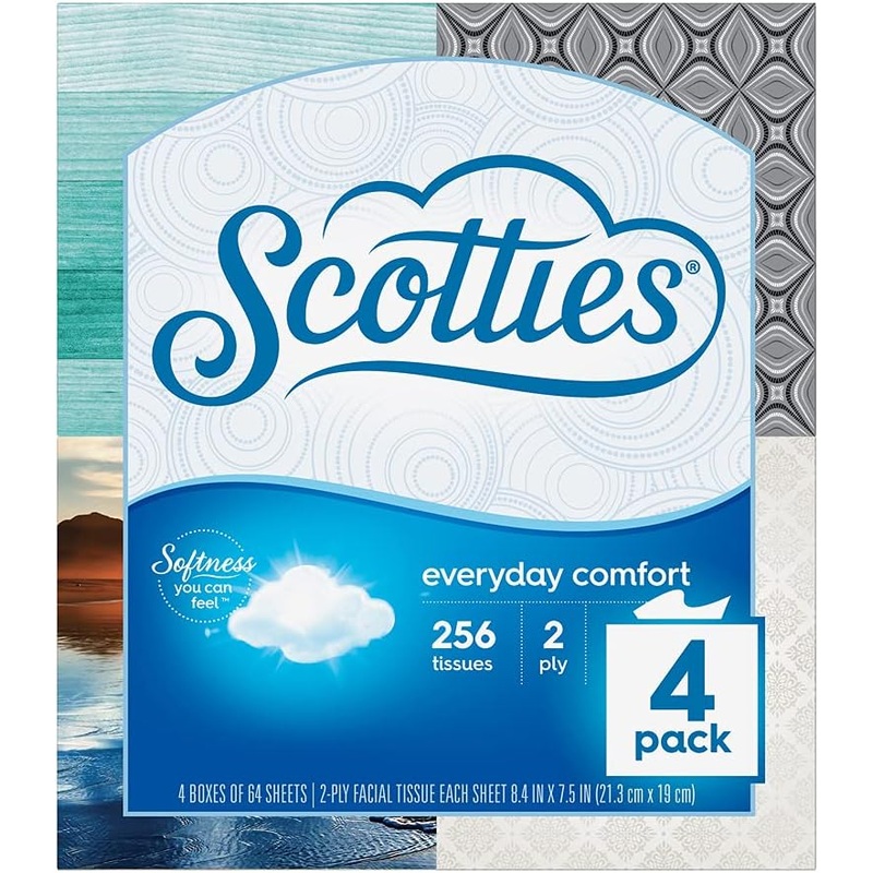 Scotties Everyday Comfort Facial Tissues, 2-Ply, 64 Tissues Per Box, 4-Count (Pack of 6) | Bigbigmart.com