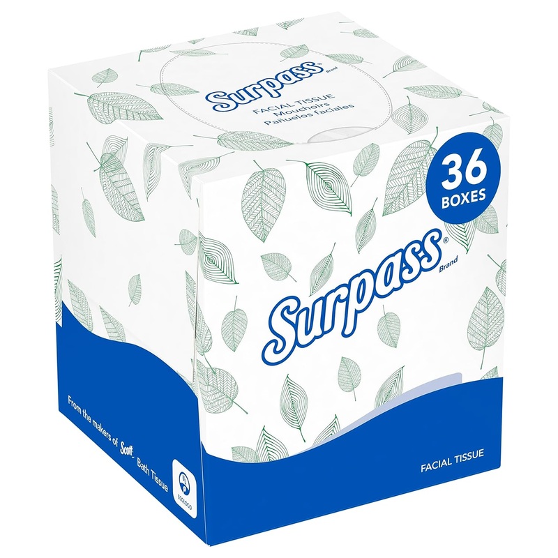 Surpass Boutique Facial Tissue Cube (21320), 2-Ply, White, Unscented, 110 Face Tissue / Box, 36 Boxes / Case | Bigbigmart.com