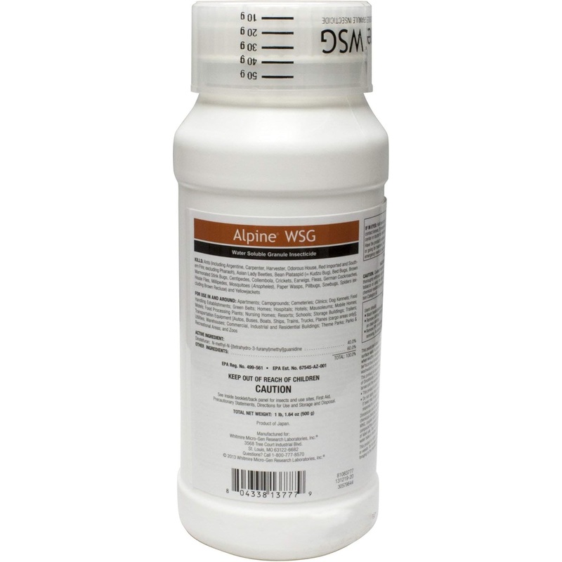 Alpine 1085 WSG 500g Jar, Clear | Bigbigmart.com