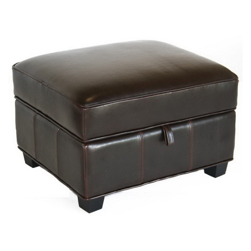 Baxton Studio Benvolio Leather Storage Ottoman – Dark Brown | Bigbigmart.com