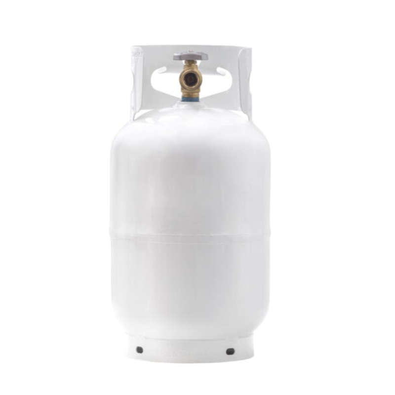 YSN Imports 11 lb. Empty Propane Cylinder | Bigbigmart.com