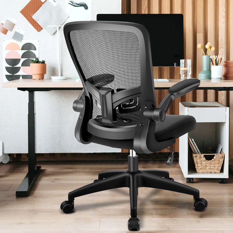Coolhut Ergonomic Office Chair, Comfort Desk Chair with Adjustable Lumbar Support and Flip up Arms, 300lb, Black | Bigbigmart.com