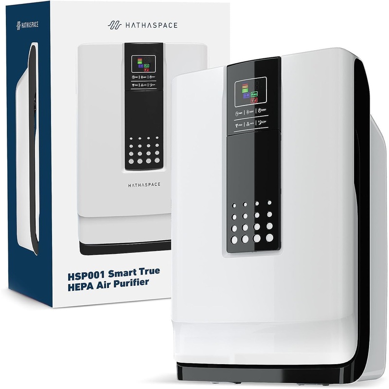 HATHASPACE Smart Air Purifiers for Home, Large Room – HSP001 – True HEPA Air Purifier & Filter for Allergens, Pets, Smoke, Removes 99.9% of Dust, Pet Dander, Odors – 700 SqFt Coverage | Bigbigmart.com