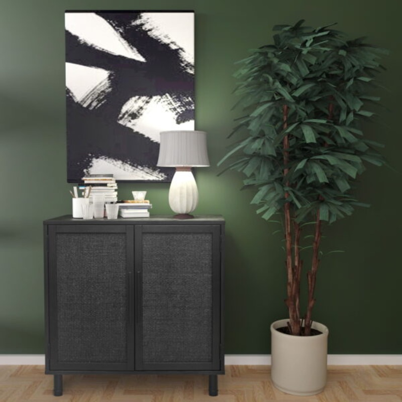 Hopper Studio Delancey 2-door Cabinet, Black | Bigbigmart.com