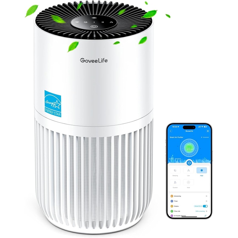 GoveeLife Mini Air Purifier for Bedroom, HEPA Smart Filter Air Purifier with App Alexa Control for Pet Hair, Odors, Pollen, Smoke, Portable Air Cleaner with 3 Speeds, 2 Modes, Timer, Aroma for Home | Bigbigmart.com