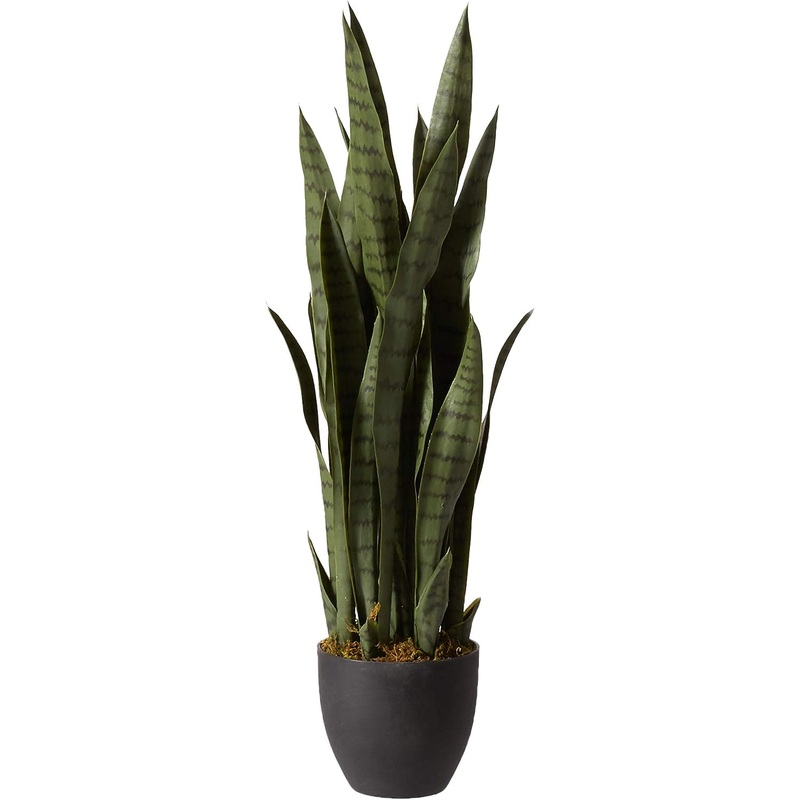 Nearly Natural Green 4855 35in. Sansevieria with Black Planter | Bigbigmart.com